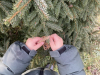 IMG-4223