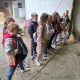 ND - MANEŽA FERK, PODRUŽNICA, GOZDNA UČILNICA